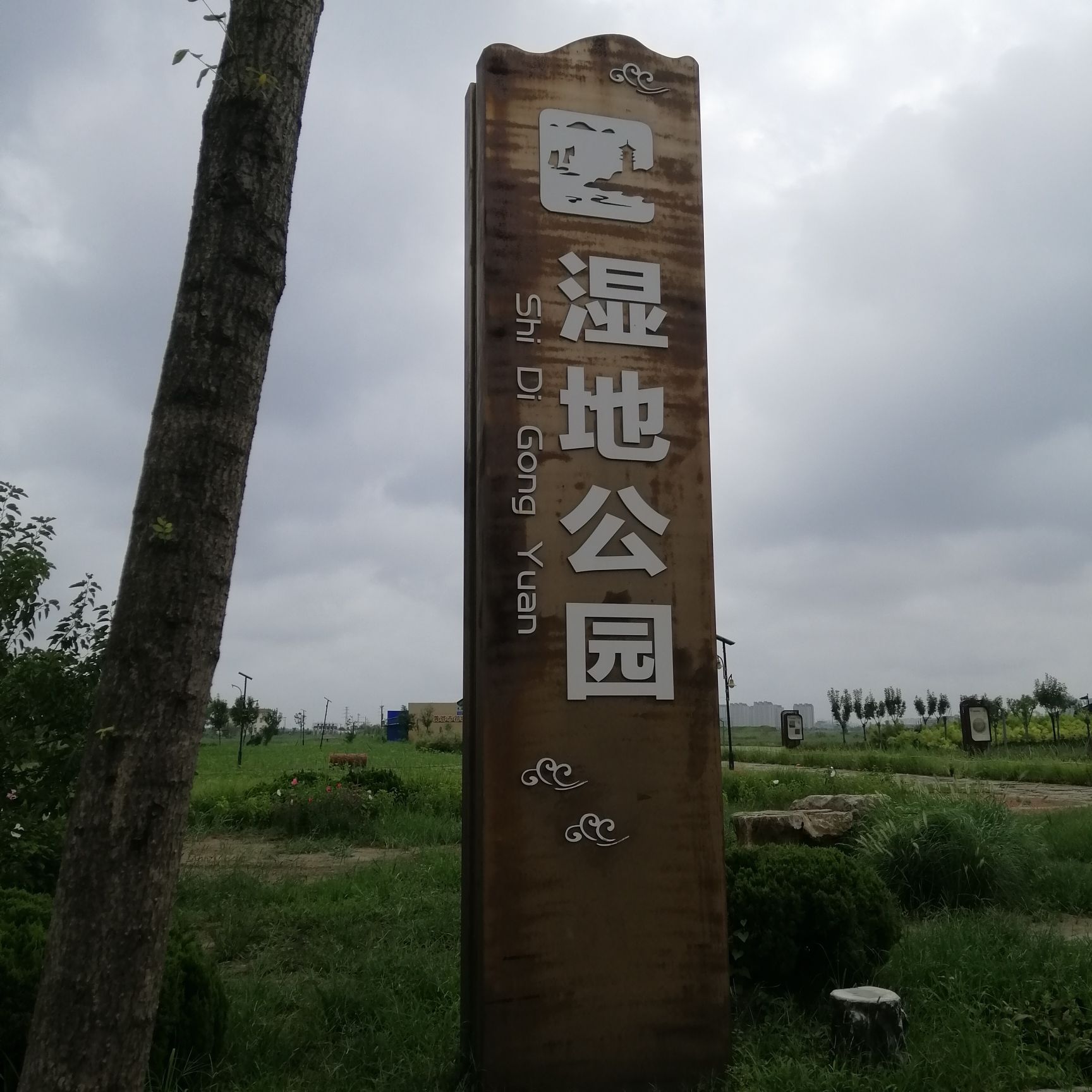 湿地公园旅行图片 2