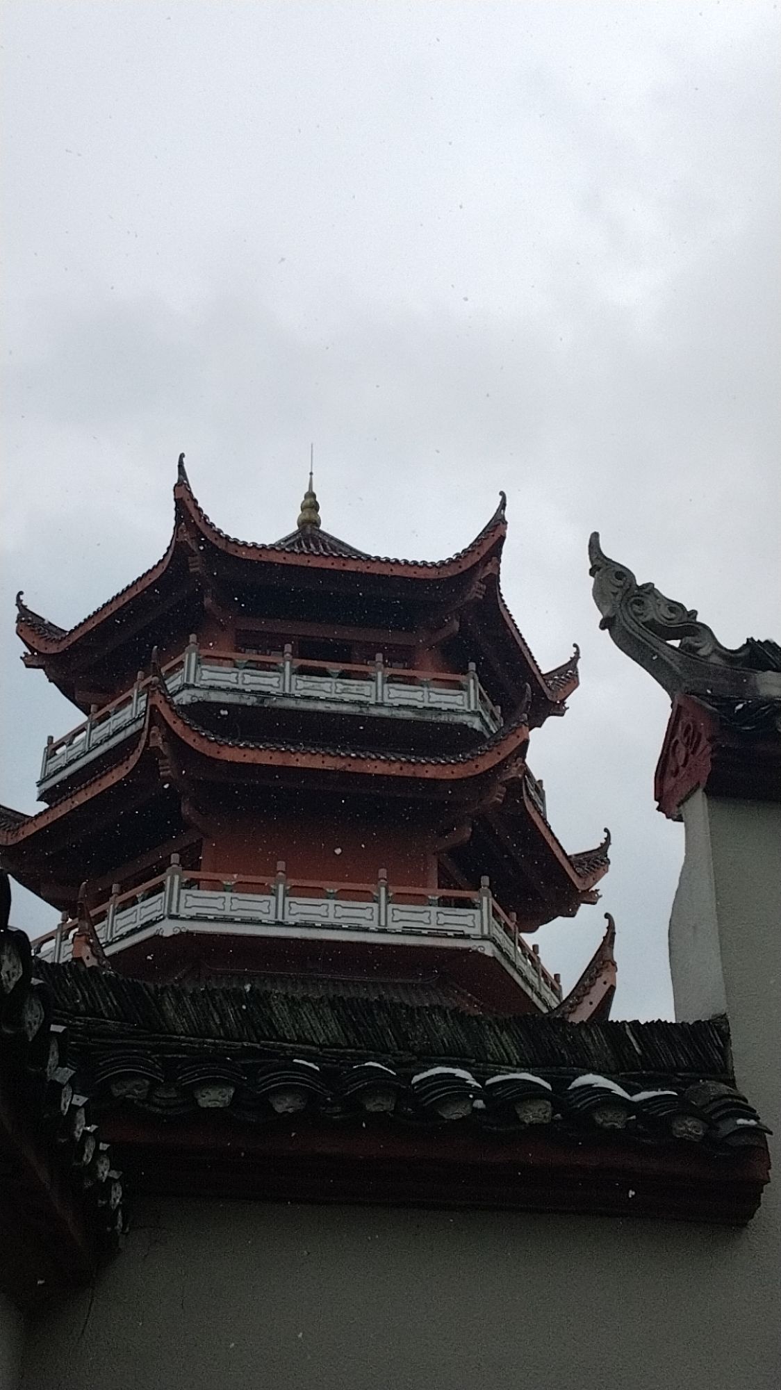 花果山公园旅行图片 3