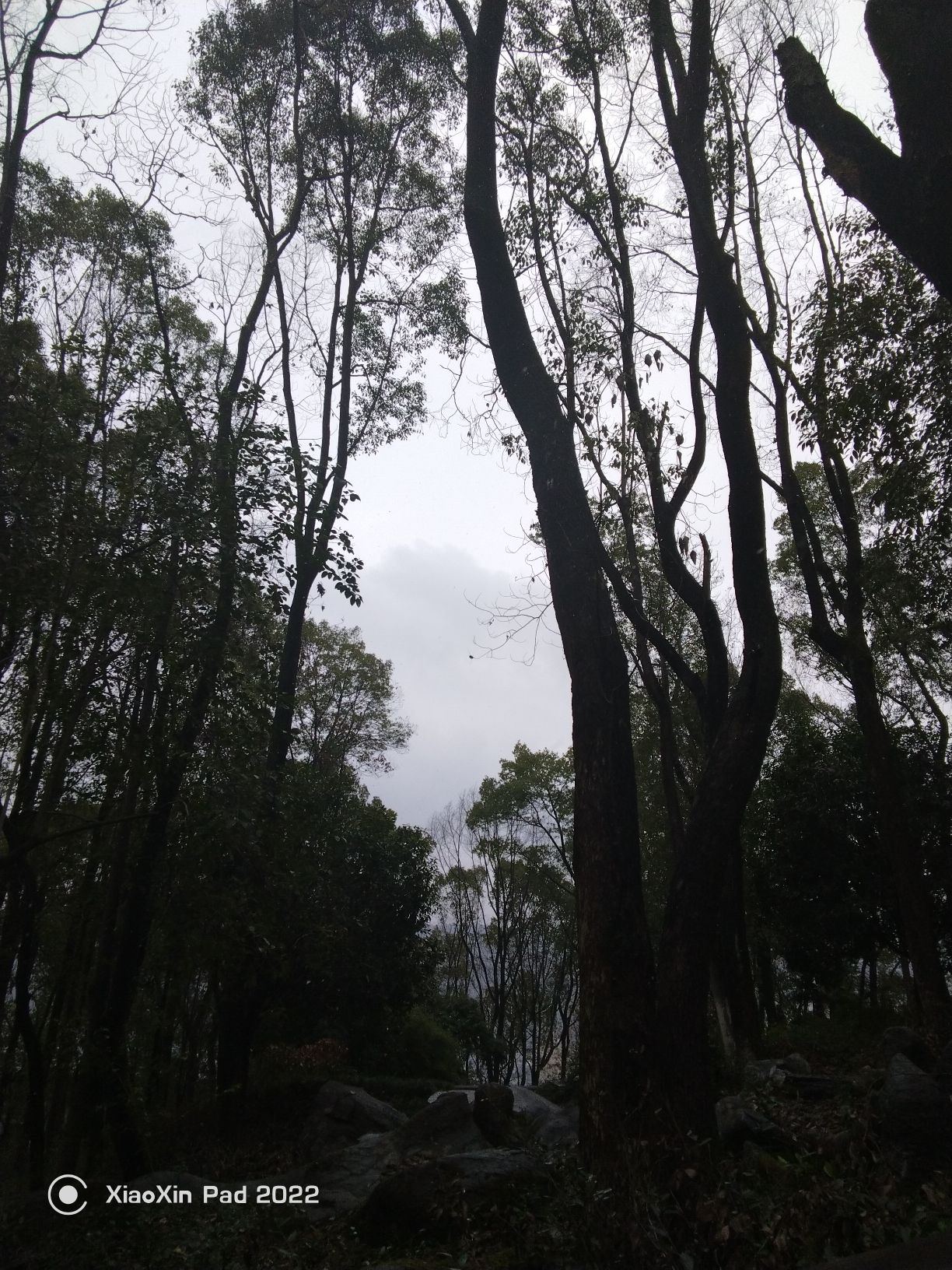 花果山公园旅行图片 1