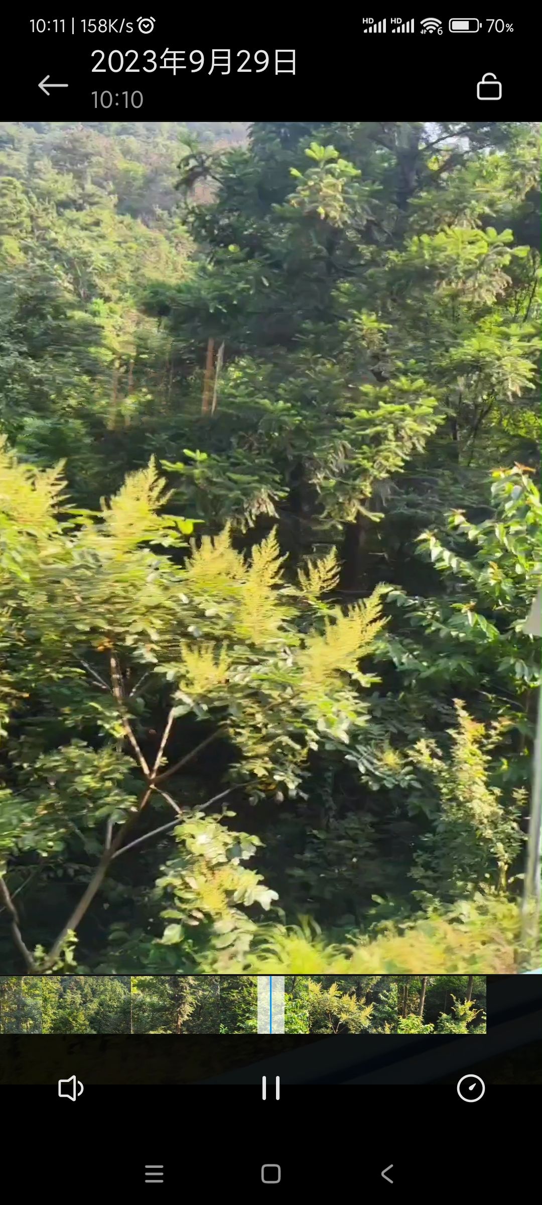 新县大别山地质公园旅行图片 2