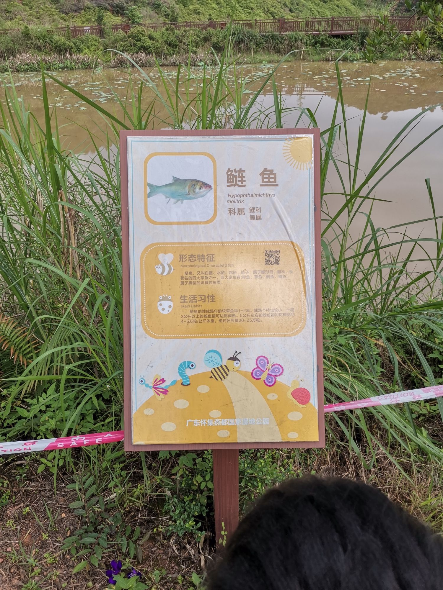 广东怀集燕都国家湿地公园旅行图片 3