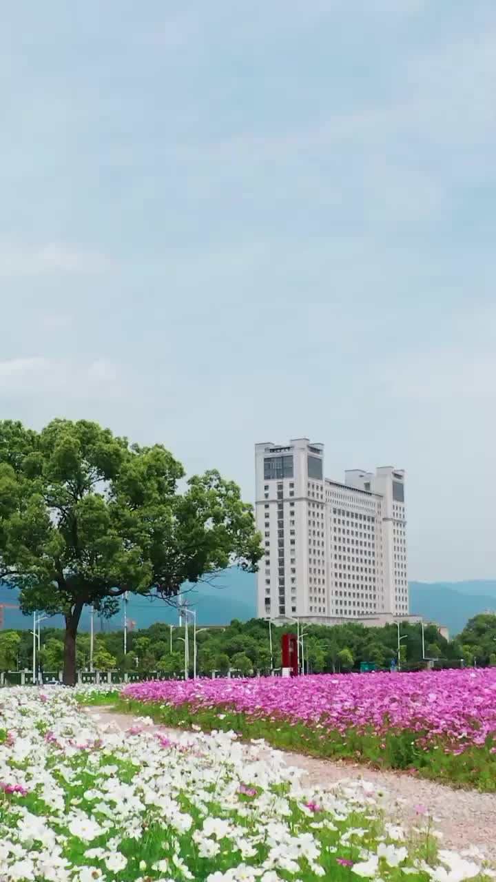 始丰广场旅行图片