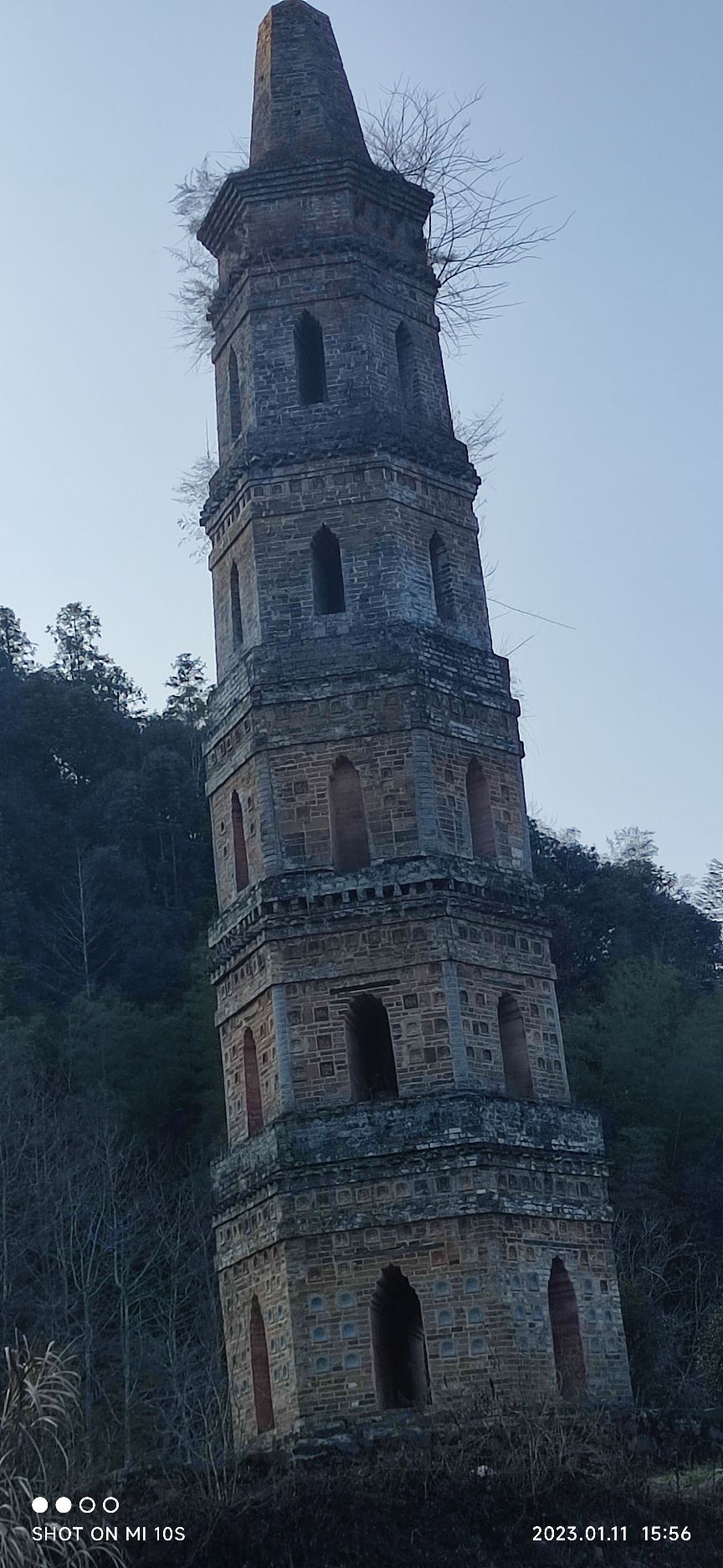 伟溪佛塔旅行图片 1