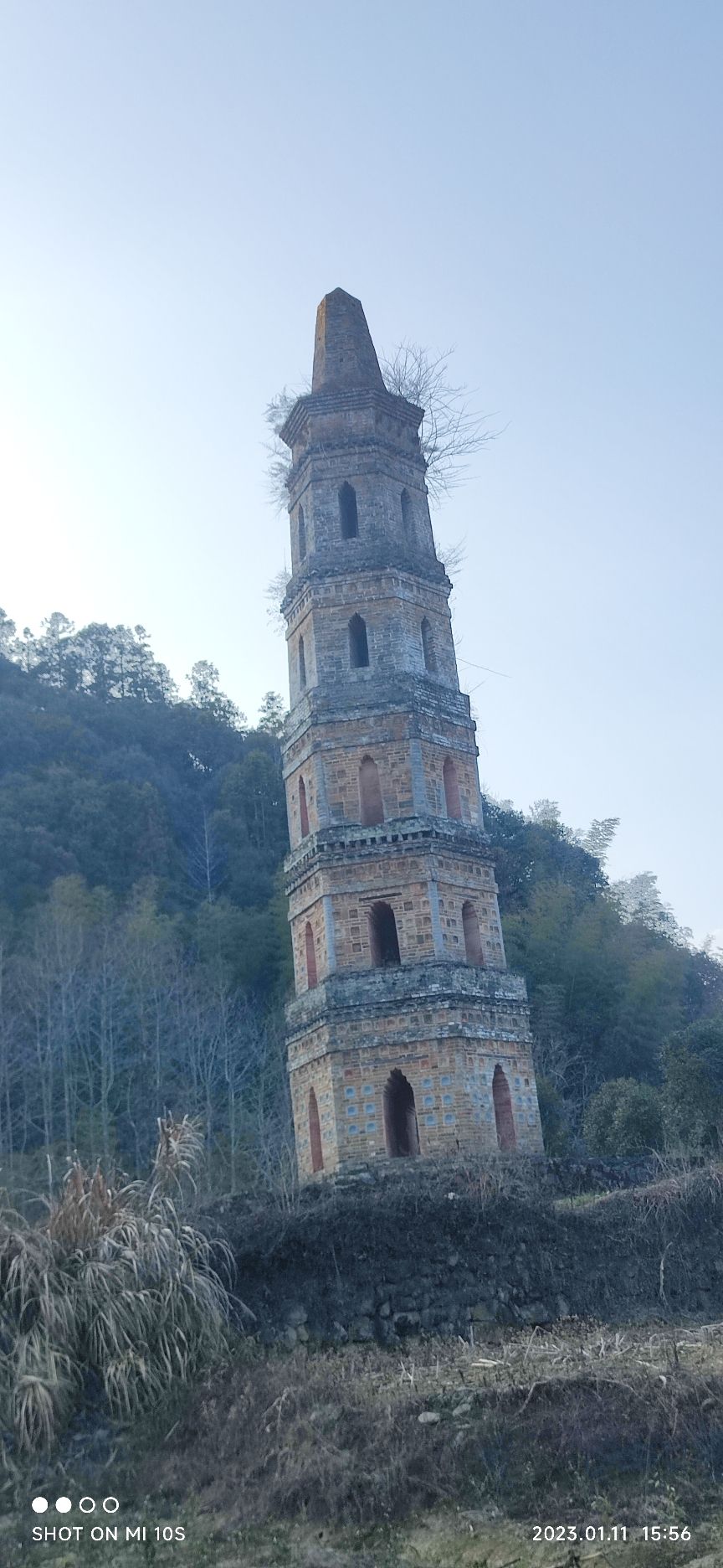 伟溪佛塔旅行图片 2