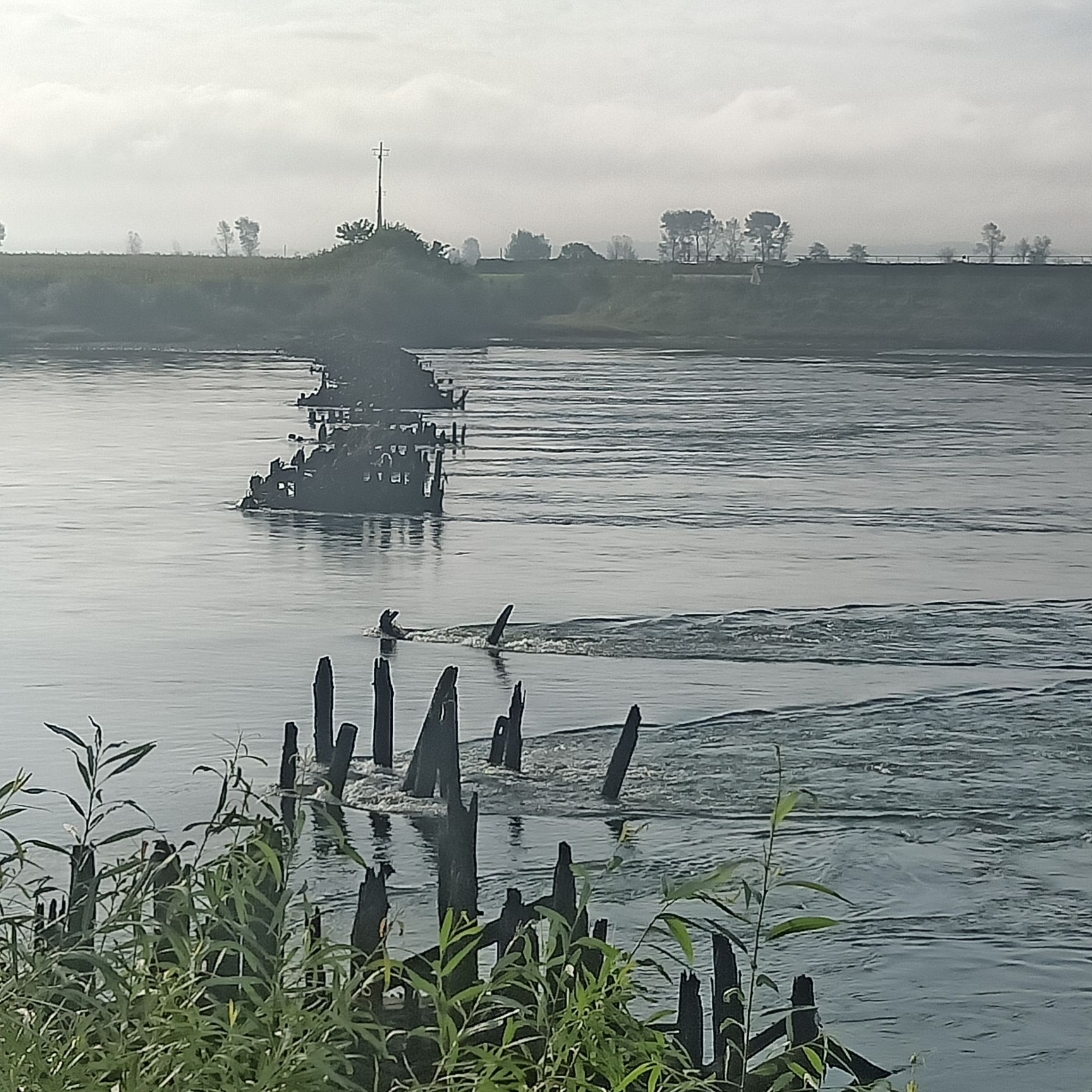 鸭绿江浮桥遗址(暂停开放)旅行图片 2