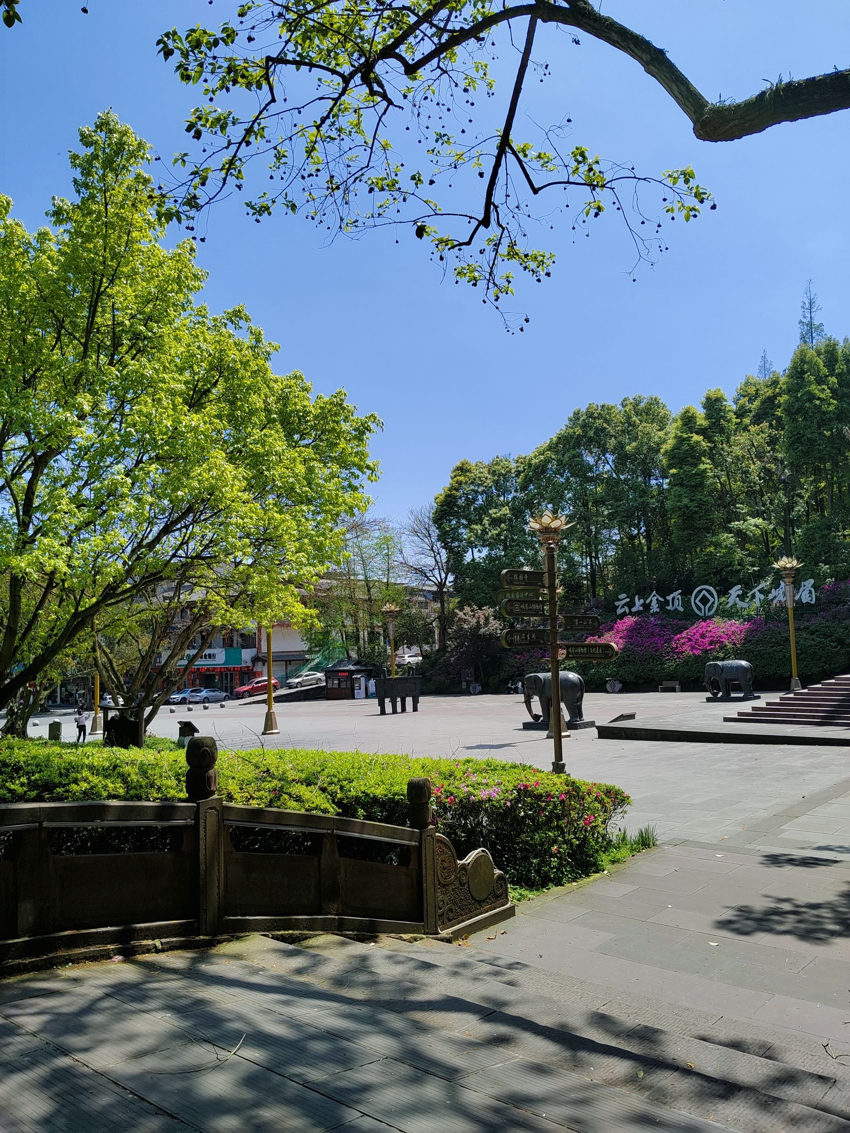 秀甲天下旅行图片 2