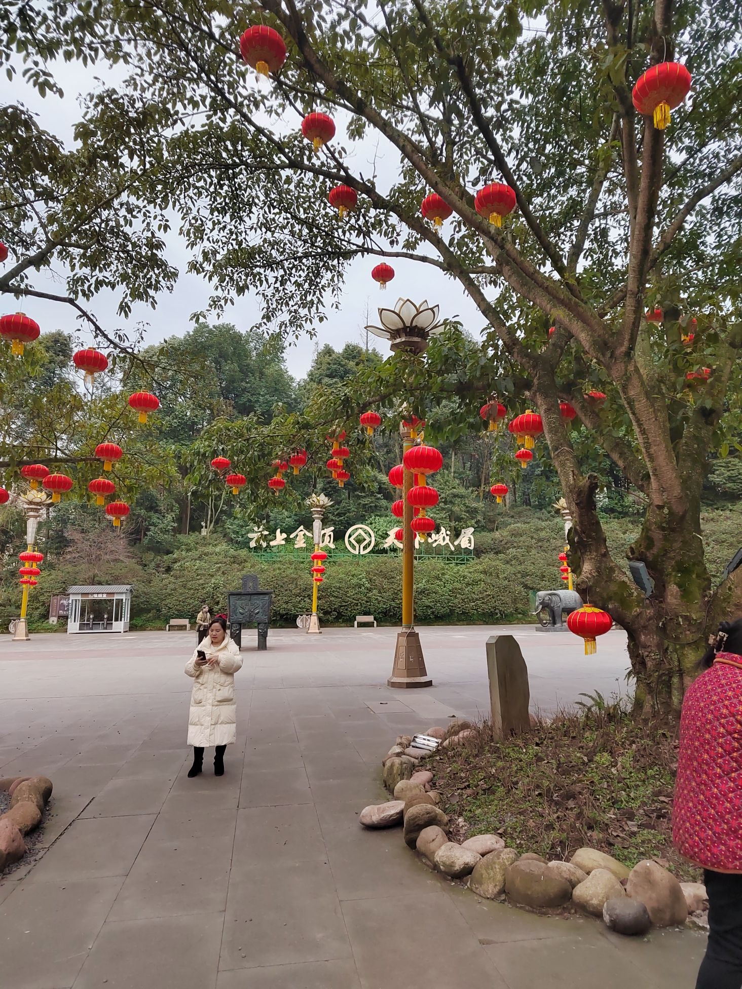秀甲天下旅行图片 3