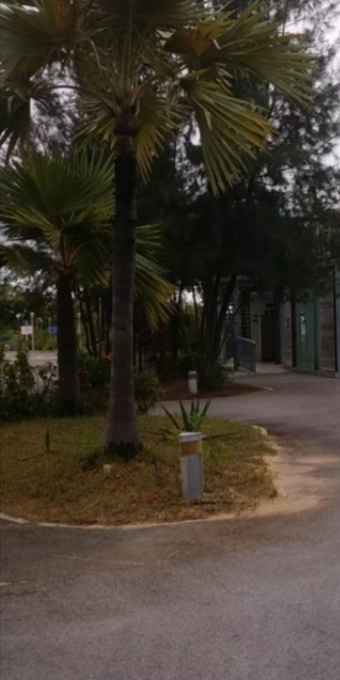 江林路公园旅行图片 2