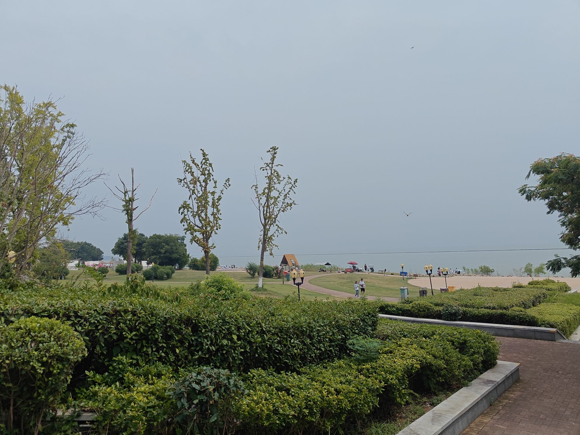 巢湖芦溪湿地旅行图片 1