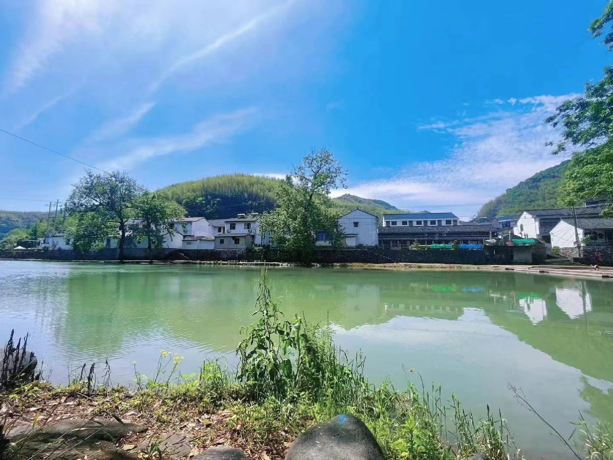 巢湖芦溪湿地旅行图片 1