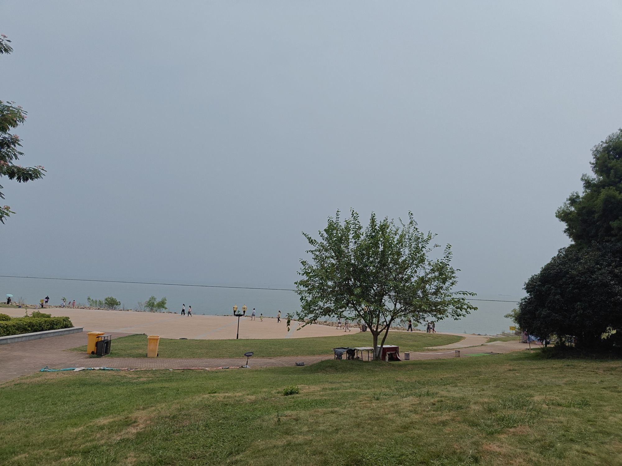 巢湖芦溪湿地旅行图片 2