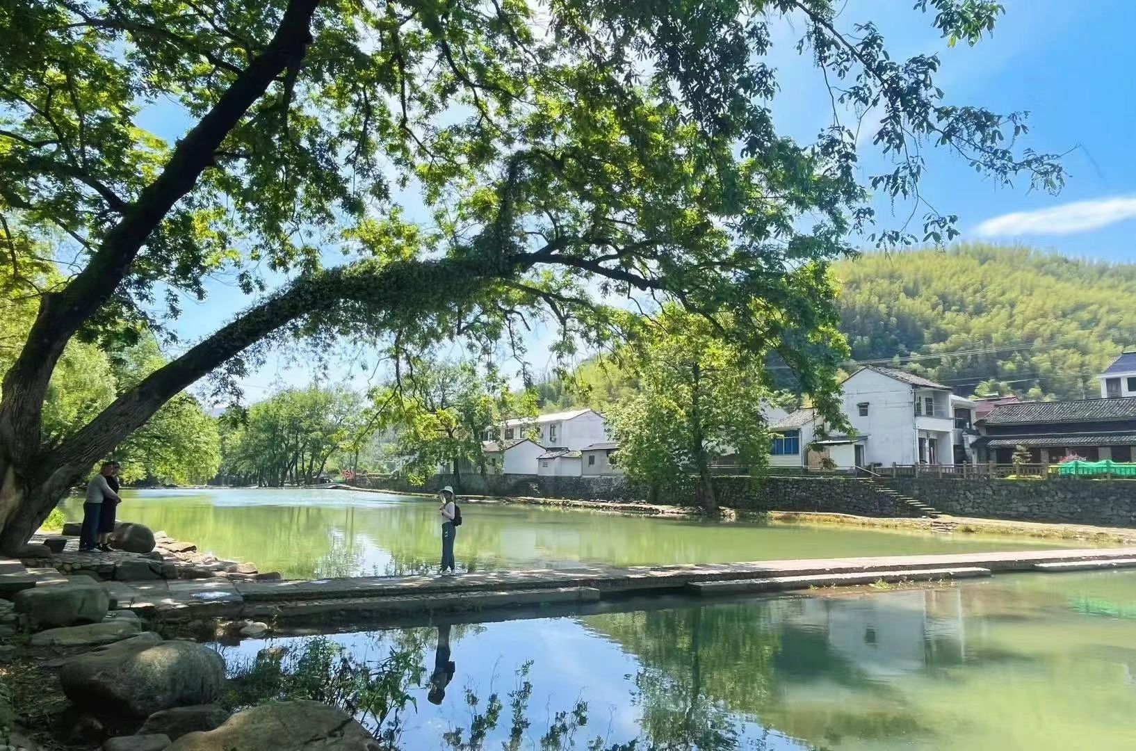 巢湖芦溪湿地旅行图片 2