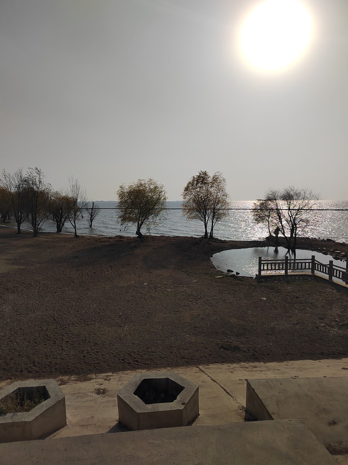 巢湖芦溪湿地旅行图片 2