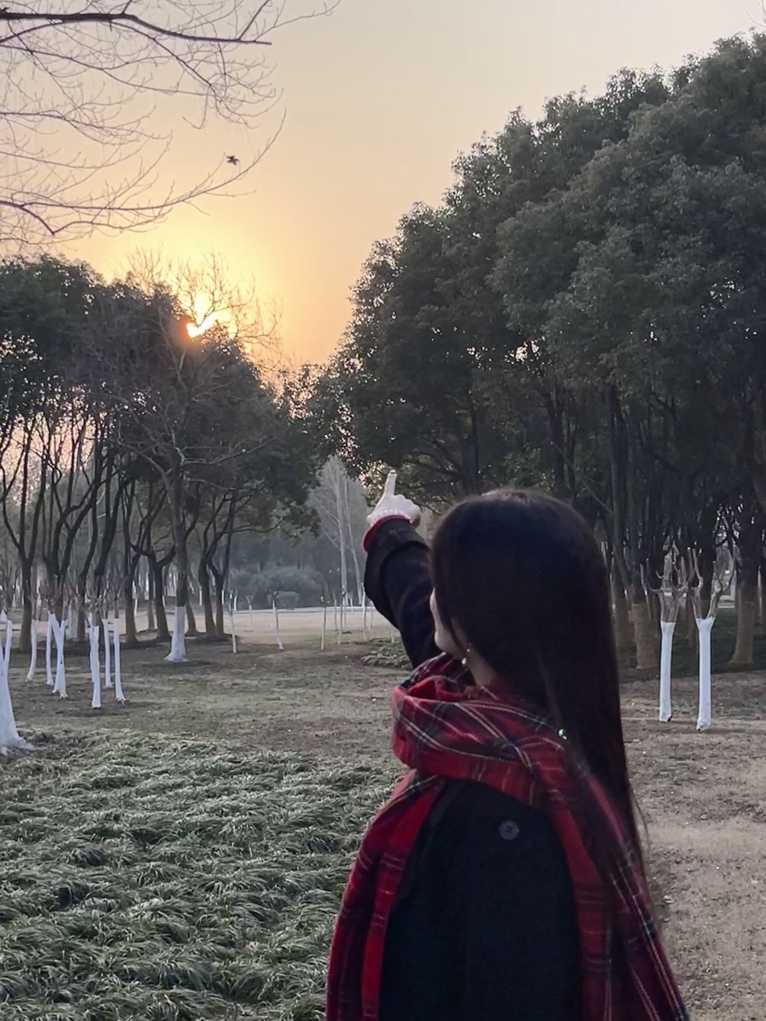 巢湖芦溪湿地旅行图片 2