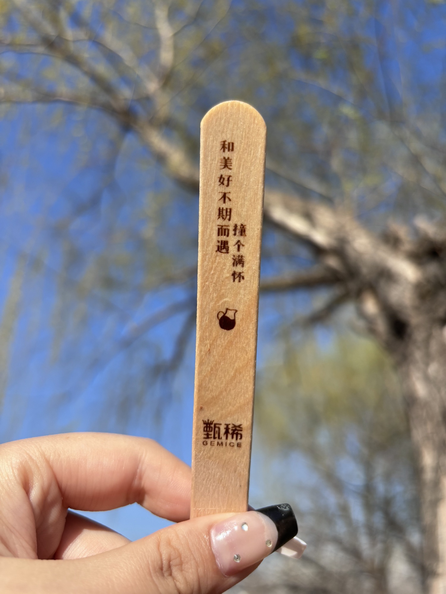 新时代文明实践主题公园旅行图片 3