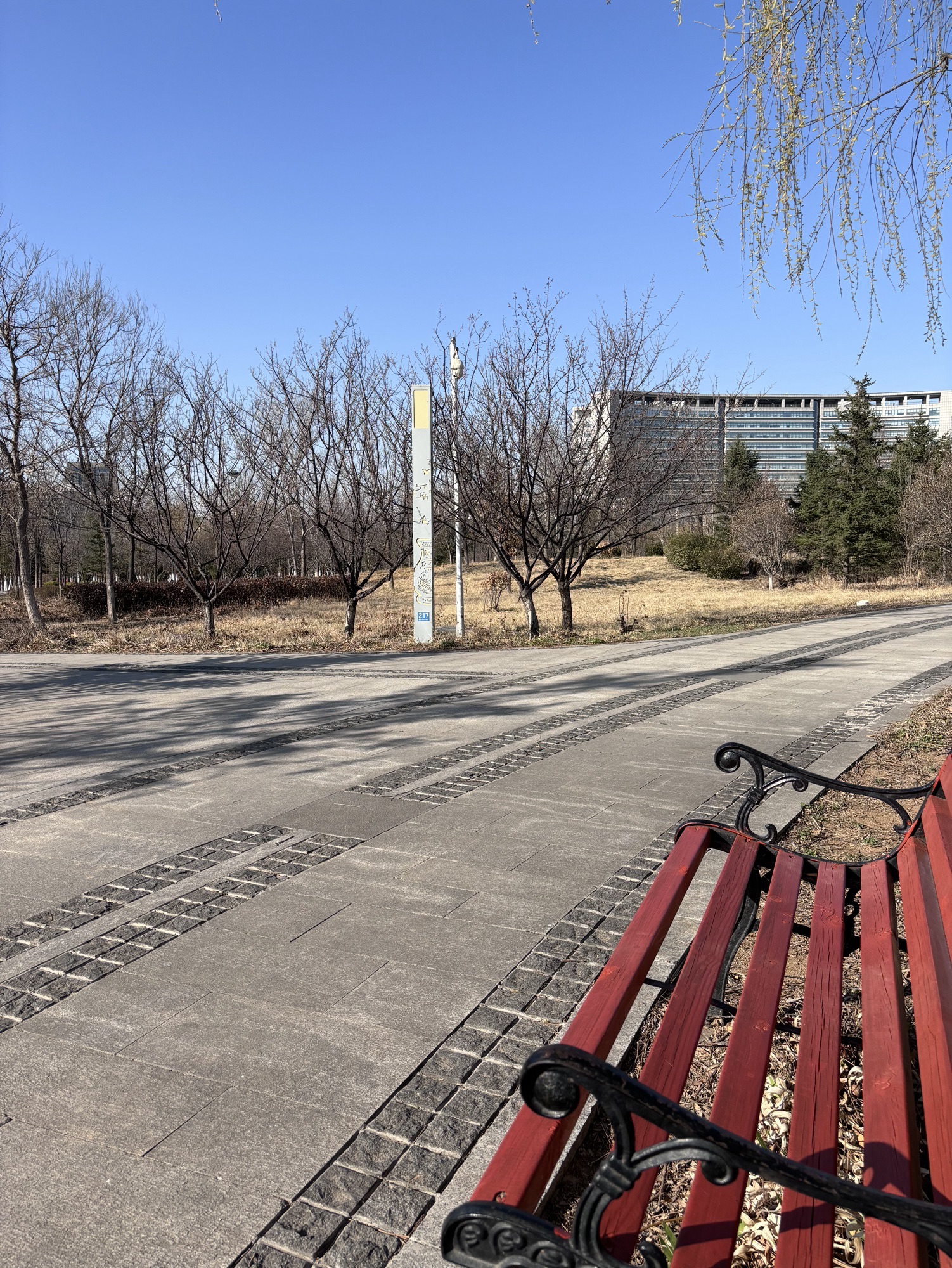 新时代文明实践主题公园旅行图片 1