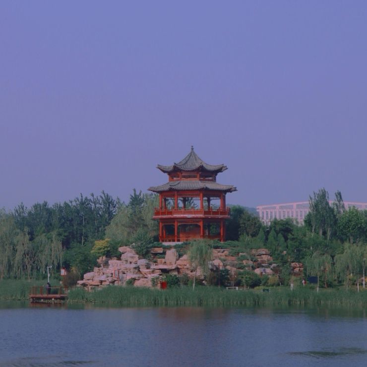拓园旅行图片 3