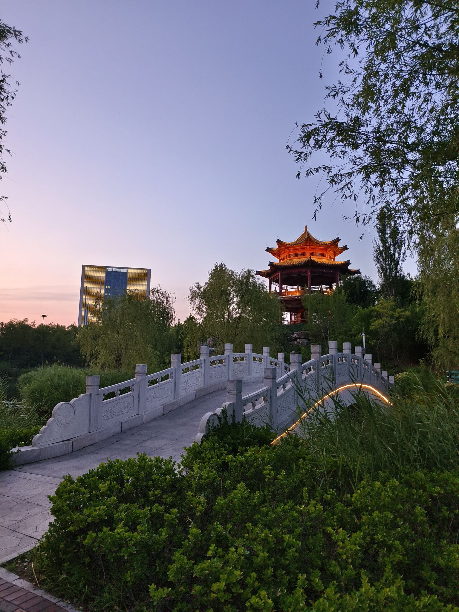 拓园旅行图片 3