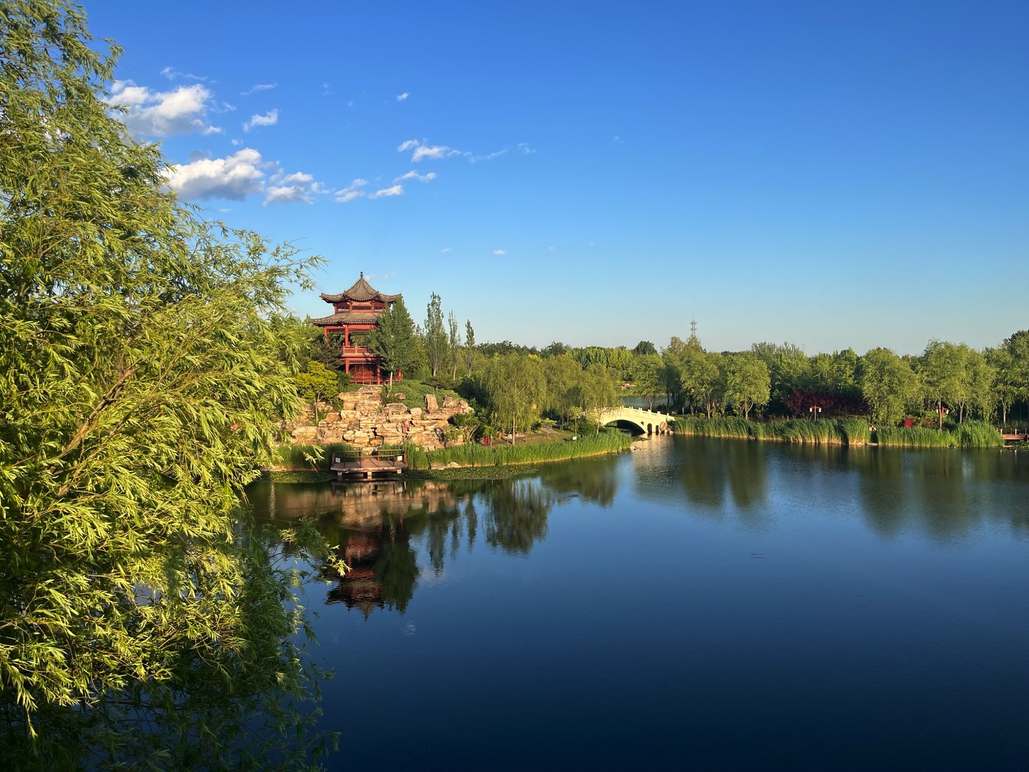 拓园旅行图片 1
