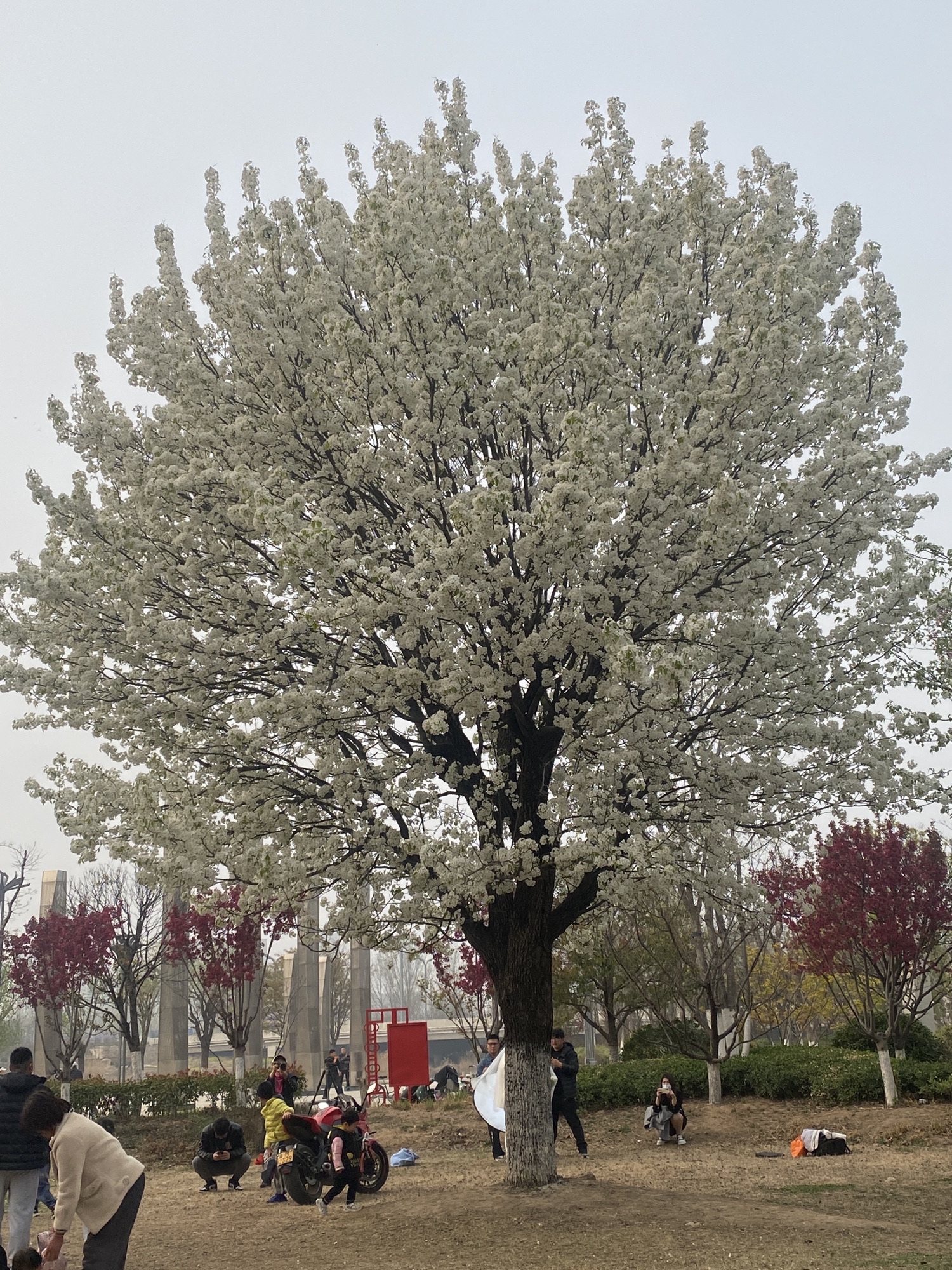赵王河下游公园旅行图片 1