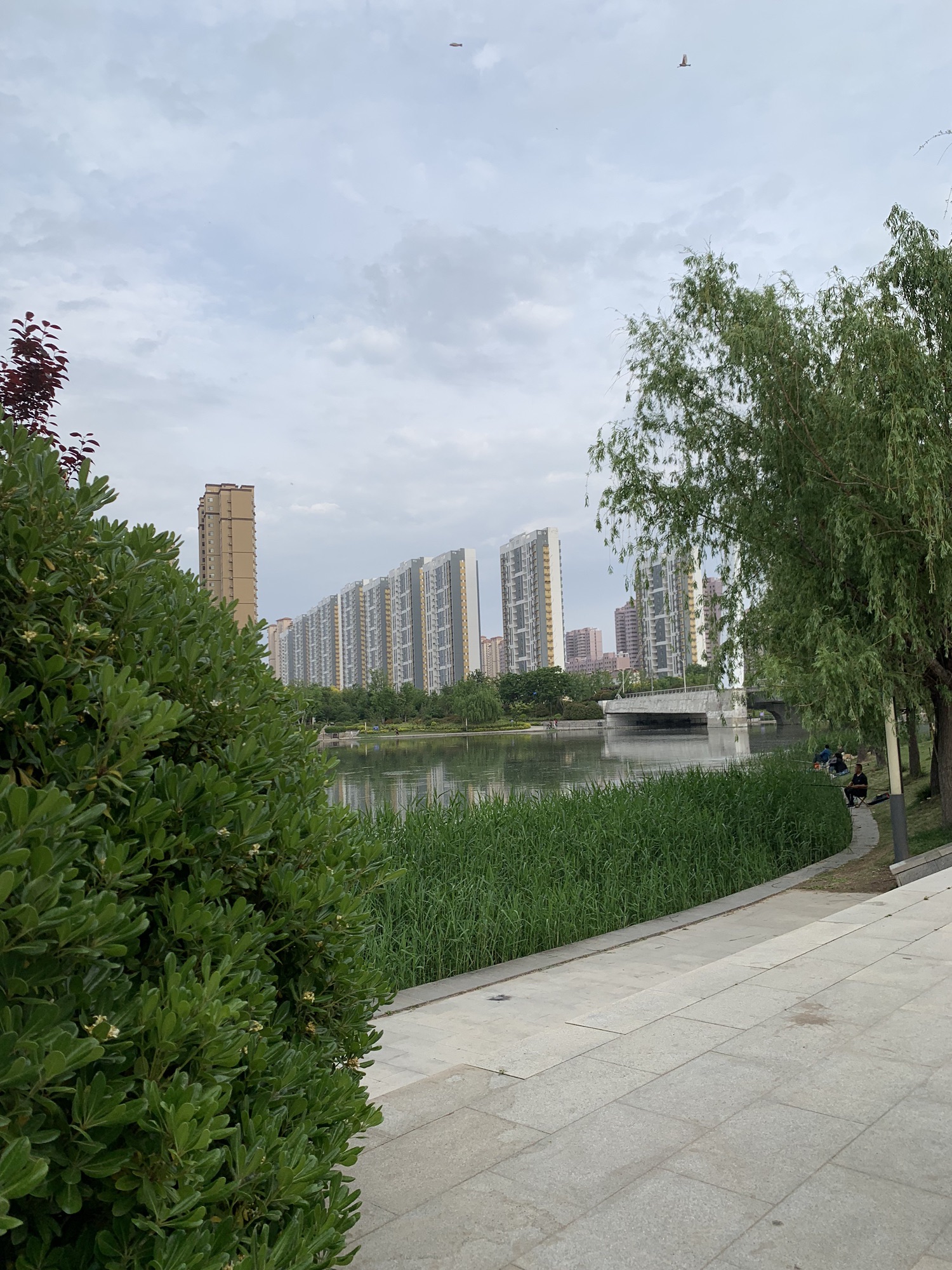 赵王河下游公园旅行图片 2