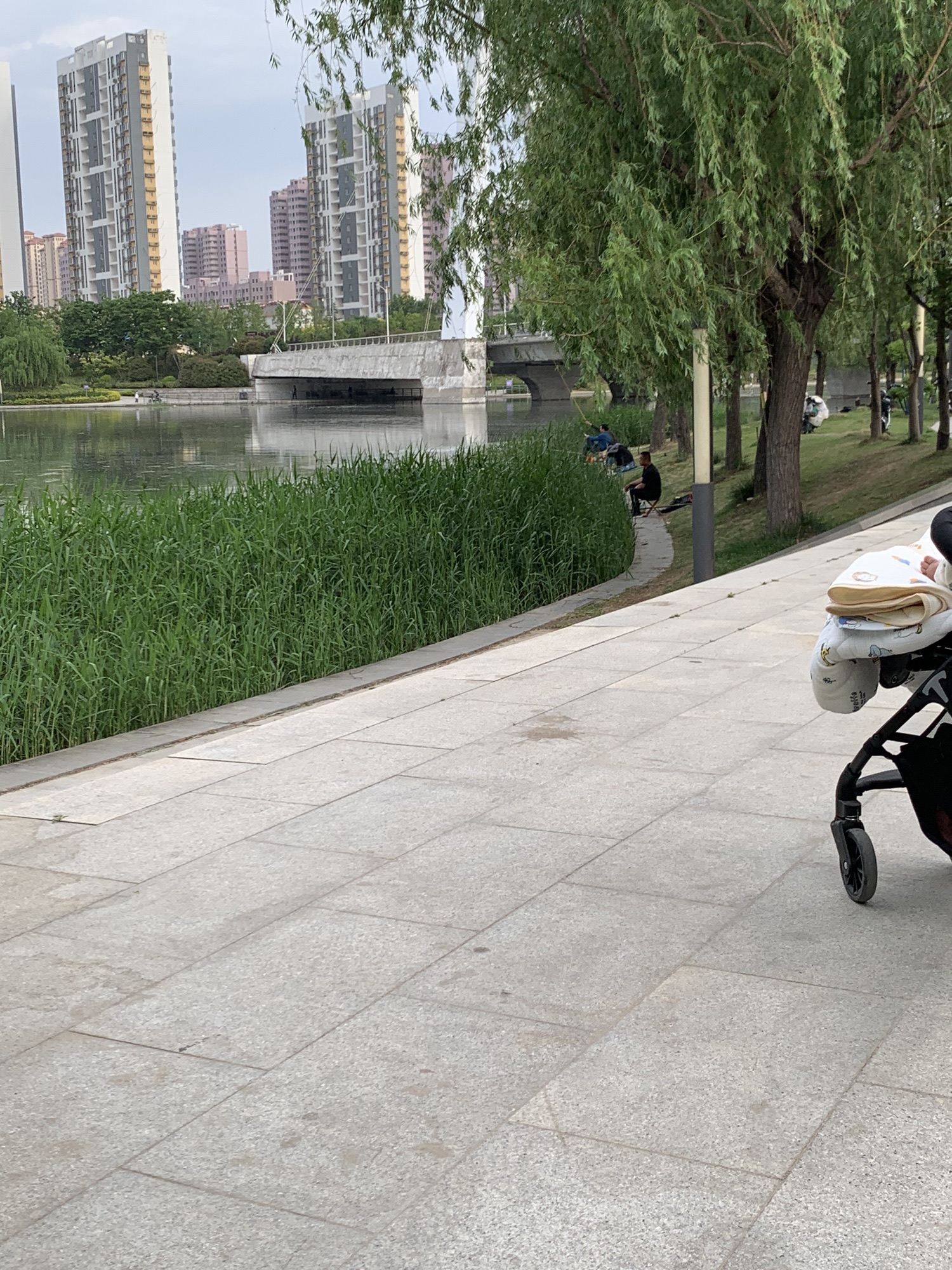 赵王河下游公园旅行图片 1