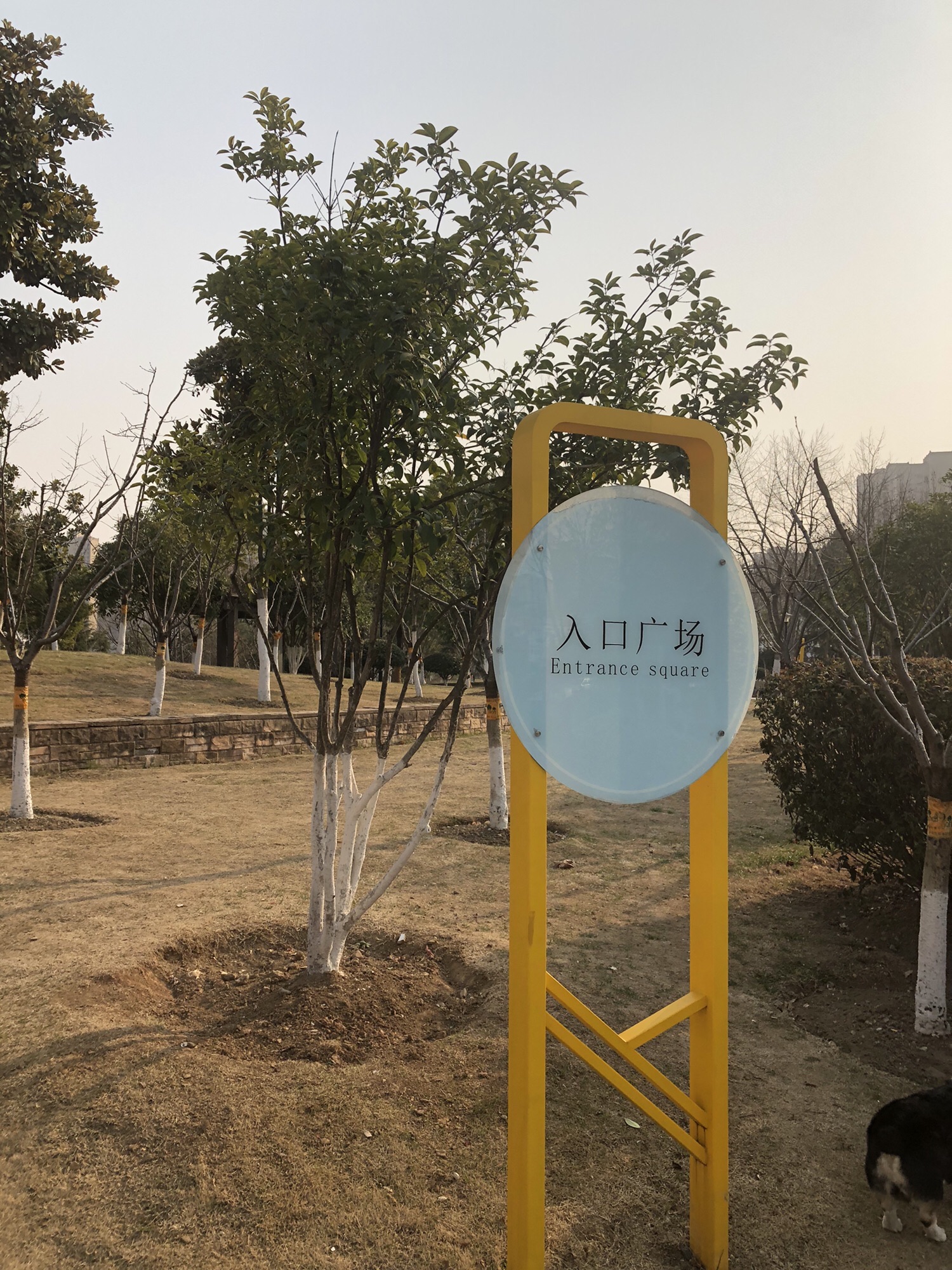 朱砖井游园旅行图片 3
