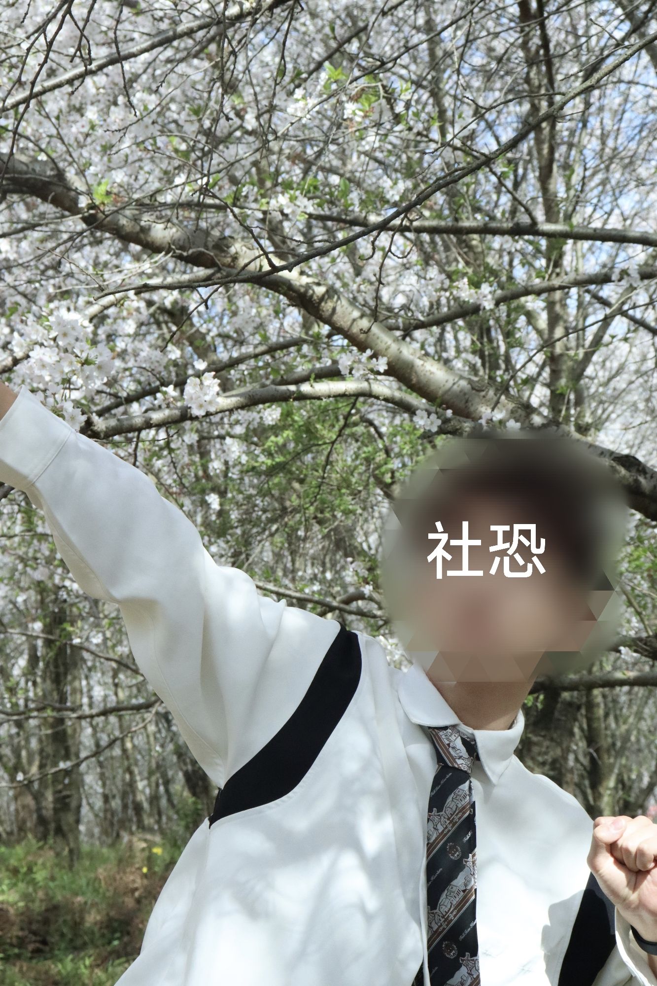 清镇樱花园旅行图片 3