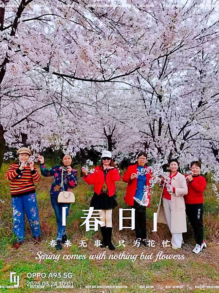 清镇樱花园旅行图片 1