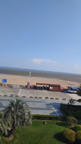 杭州湾贝壳自然保护区旅行图片 1