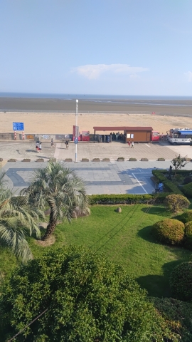 杭州湾贝壳自然保护区旅行图片 3