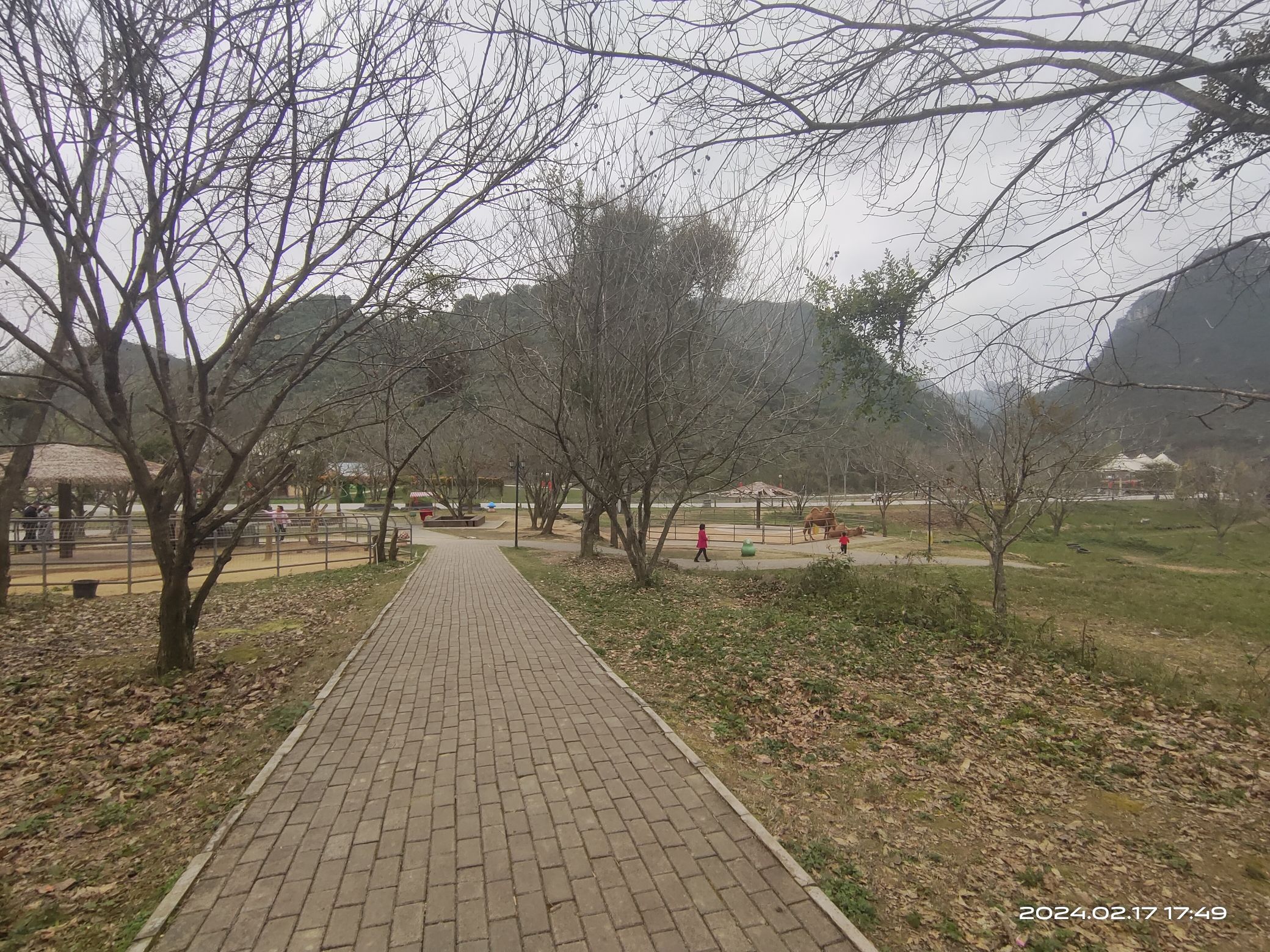 德保矮马王国旅行图片 2