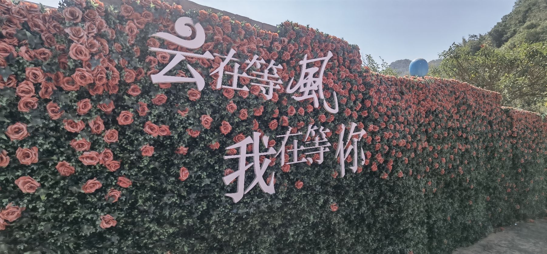 德保矮马王国旅行图片 2