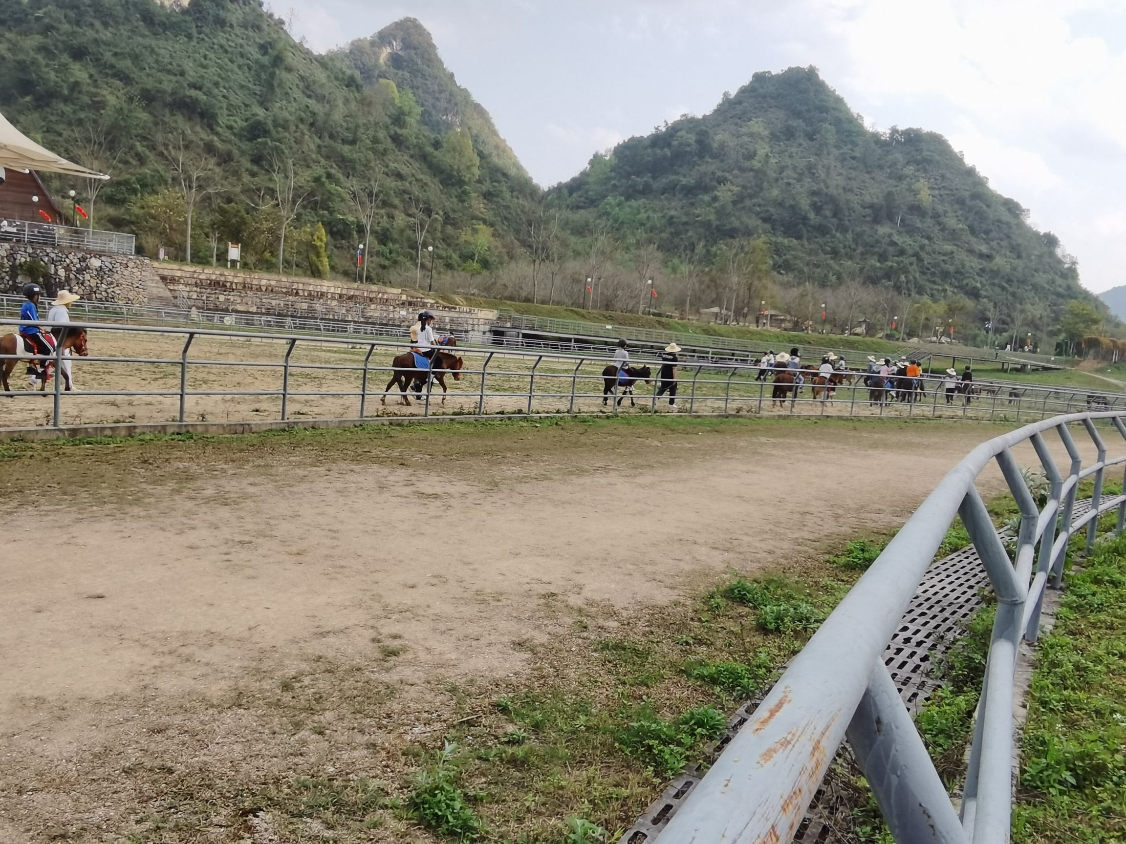 德保矮马王国旅行图片 1