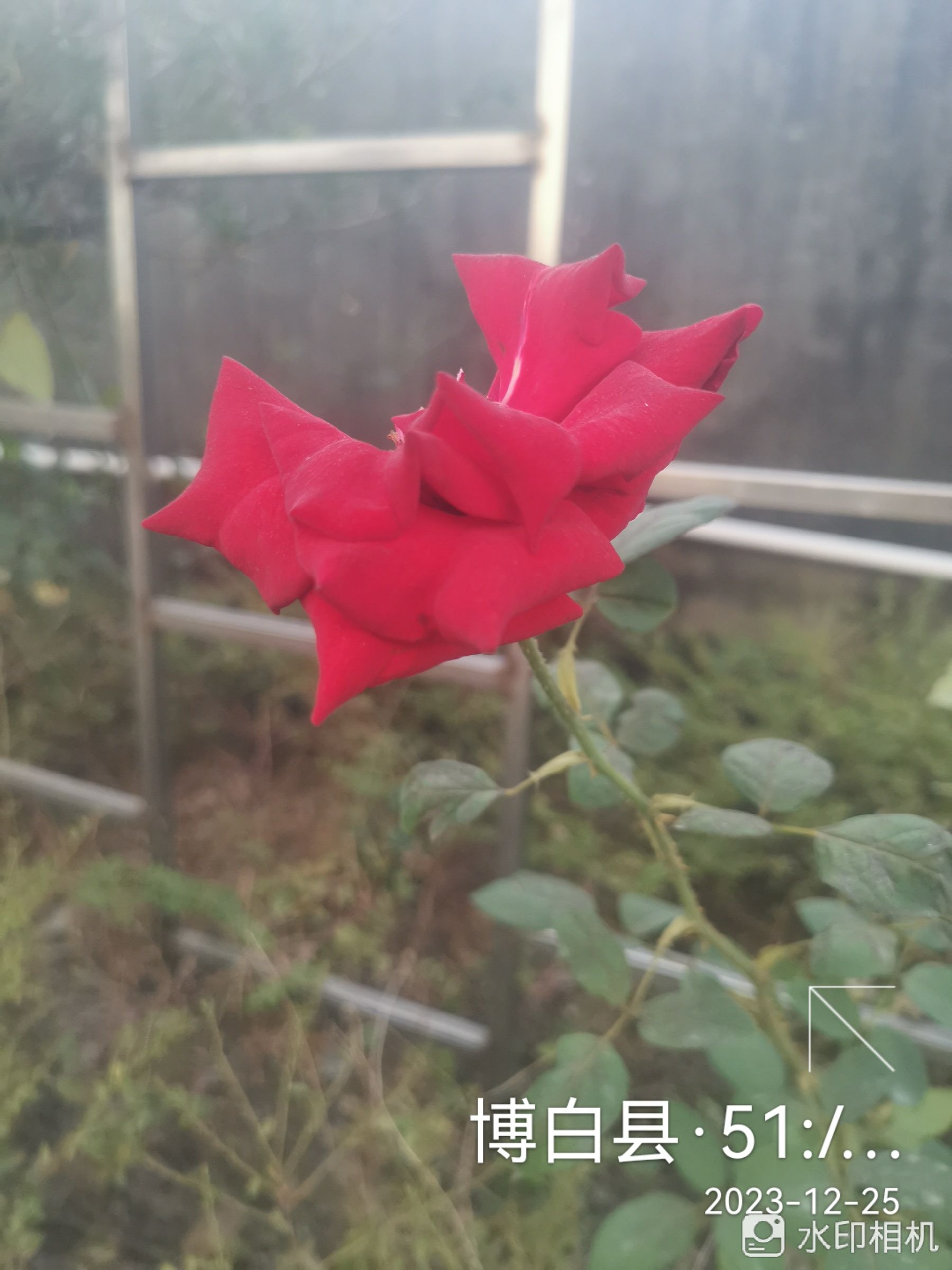 杨天官公祠实景照片