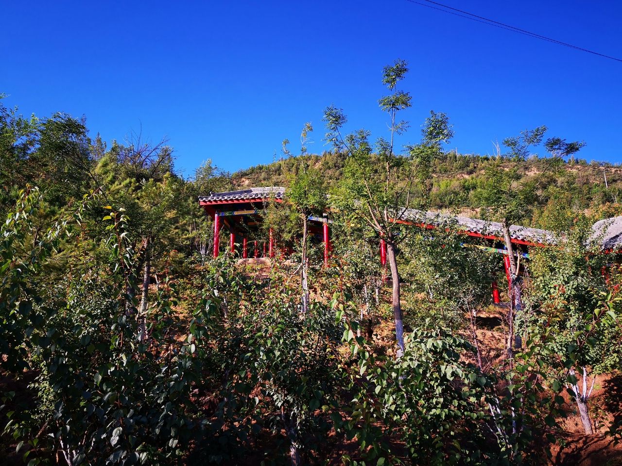 南山公园旅行图片 2