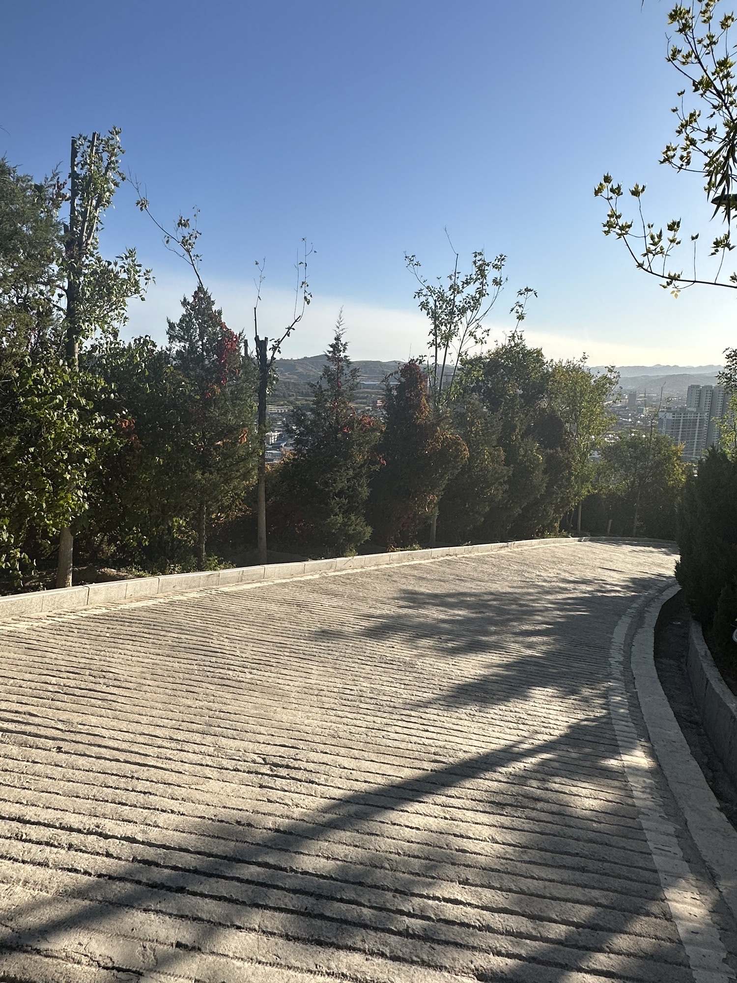 南山公园旅行图片 1