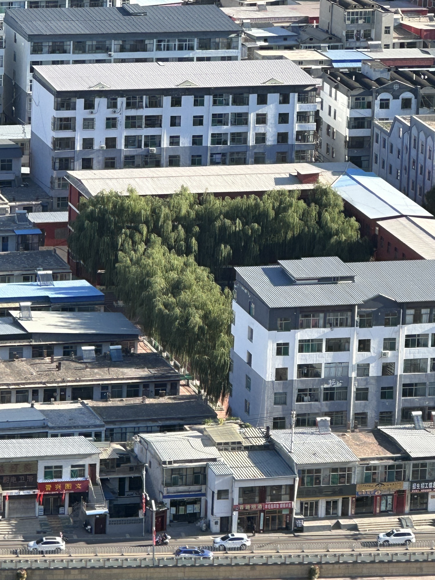 南山公园旅行图片 3