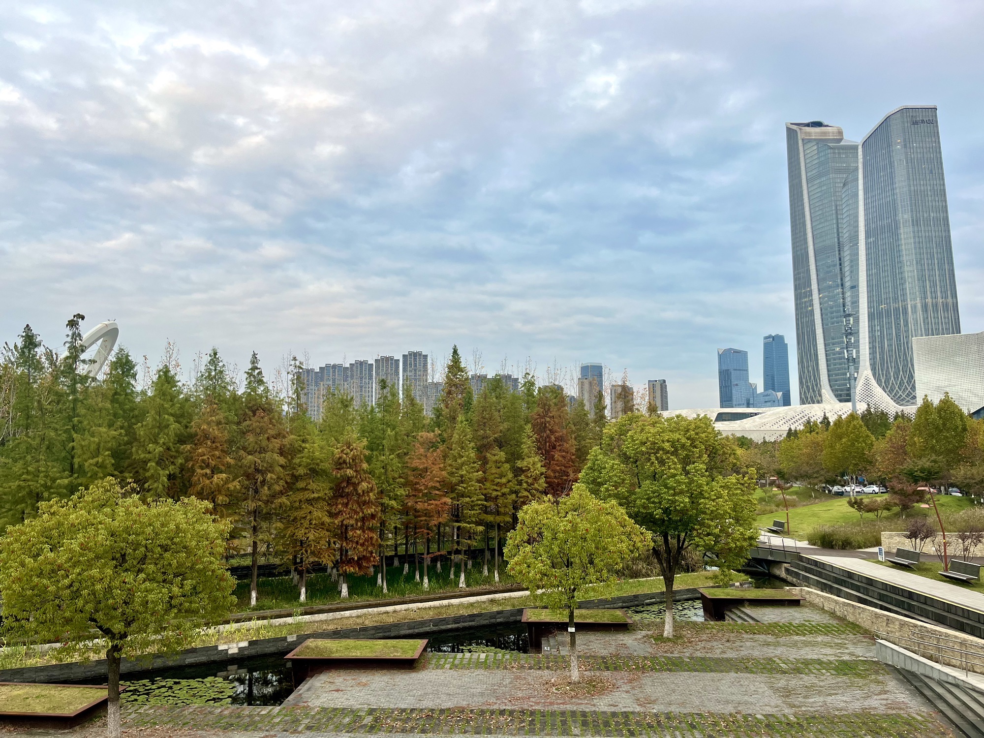 林荫广场旅行图片 1