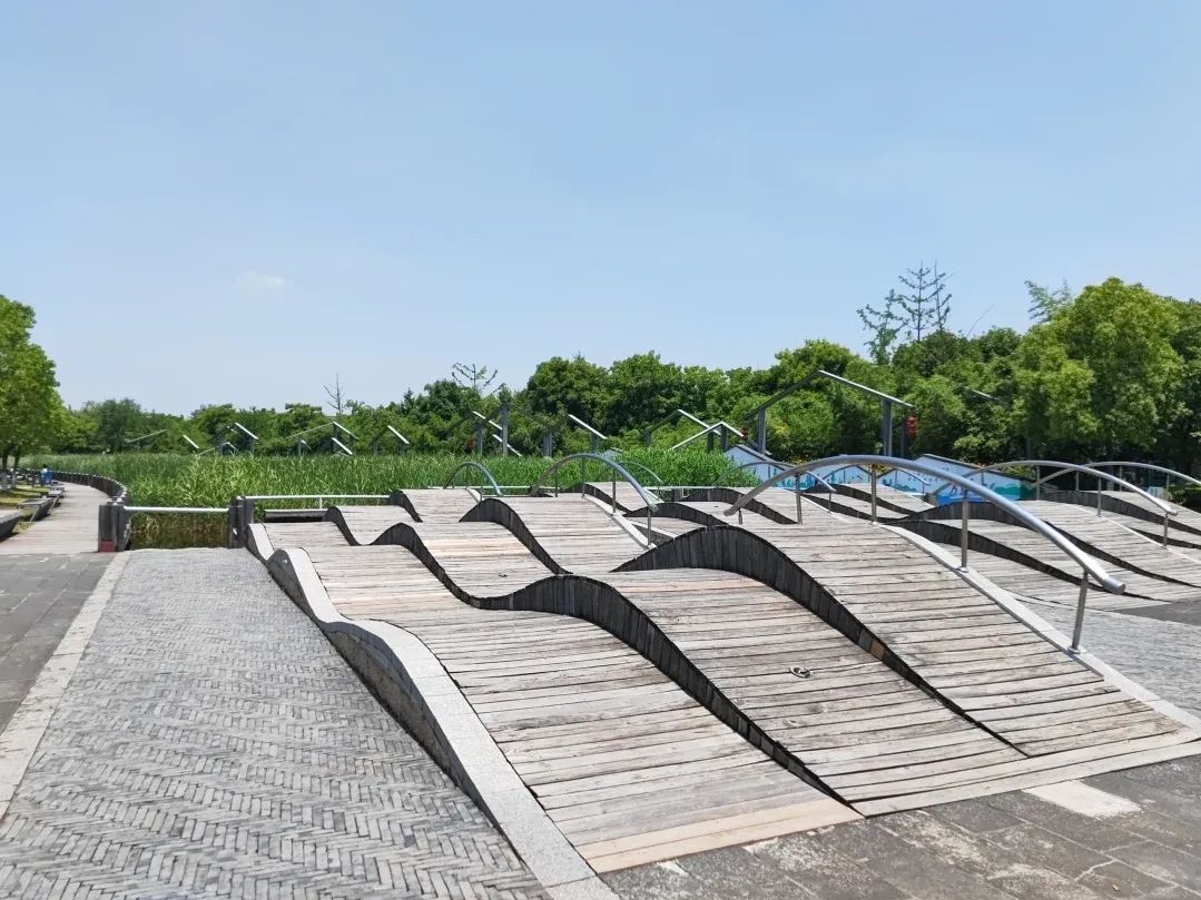 赵巷体育公园旅行图片 2