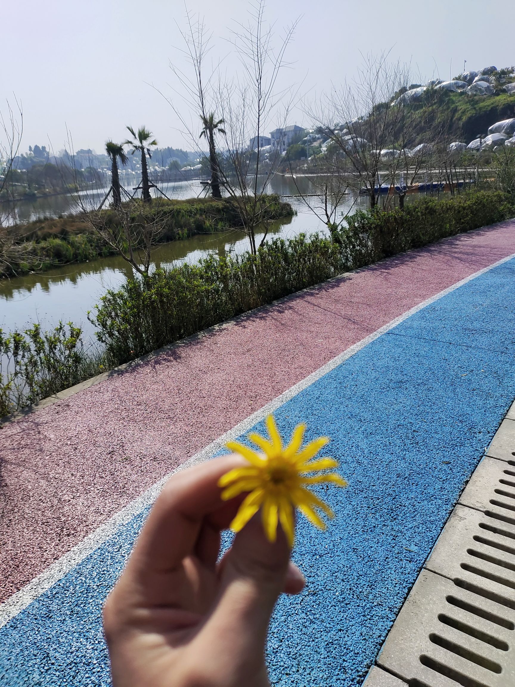 阿金河广场旅行图片 2