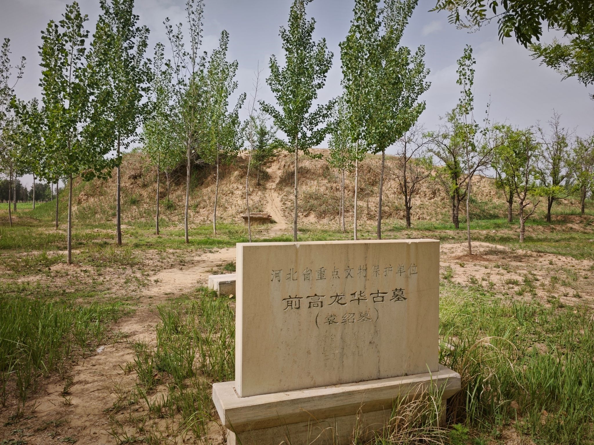 前高龙华古墓(袁绍墓)旅行图片 1