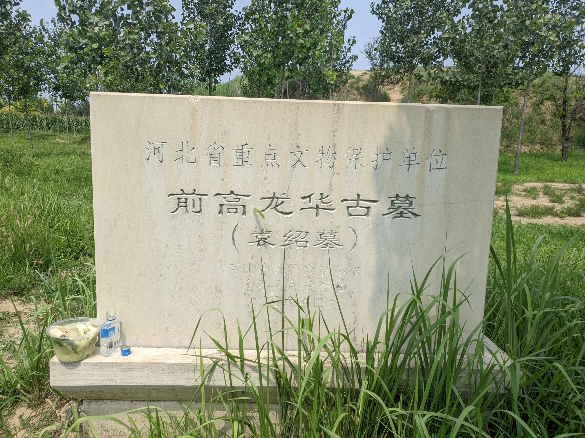 前高龙华古墓(袁绍墓)旅行图片 1