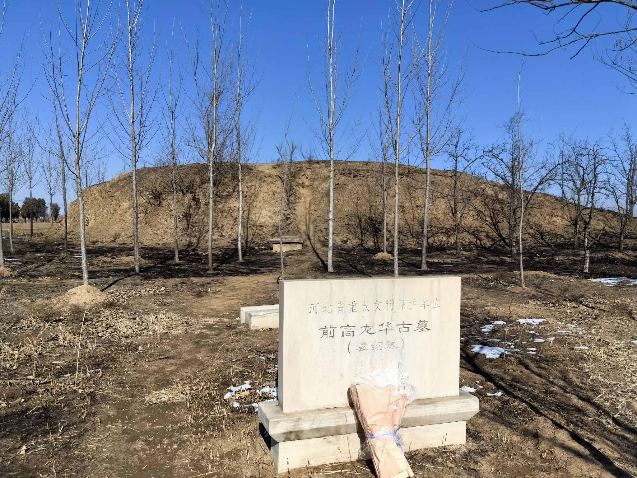 前高龙华古墓(袁绍墓)旅行图片 1