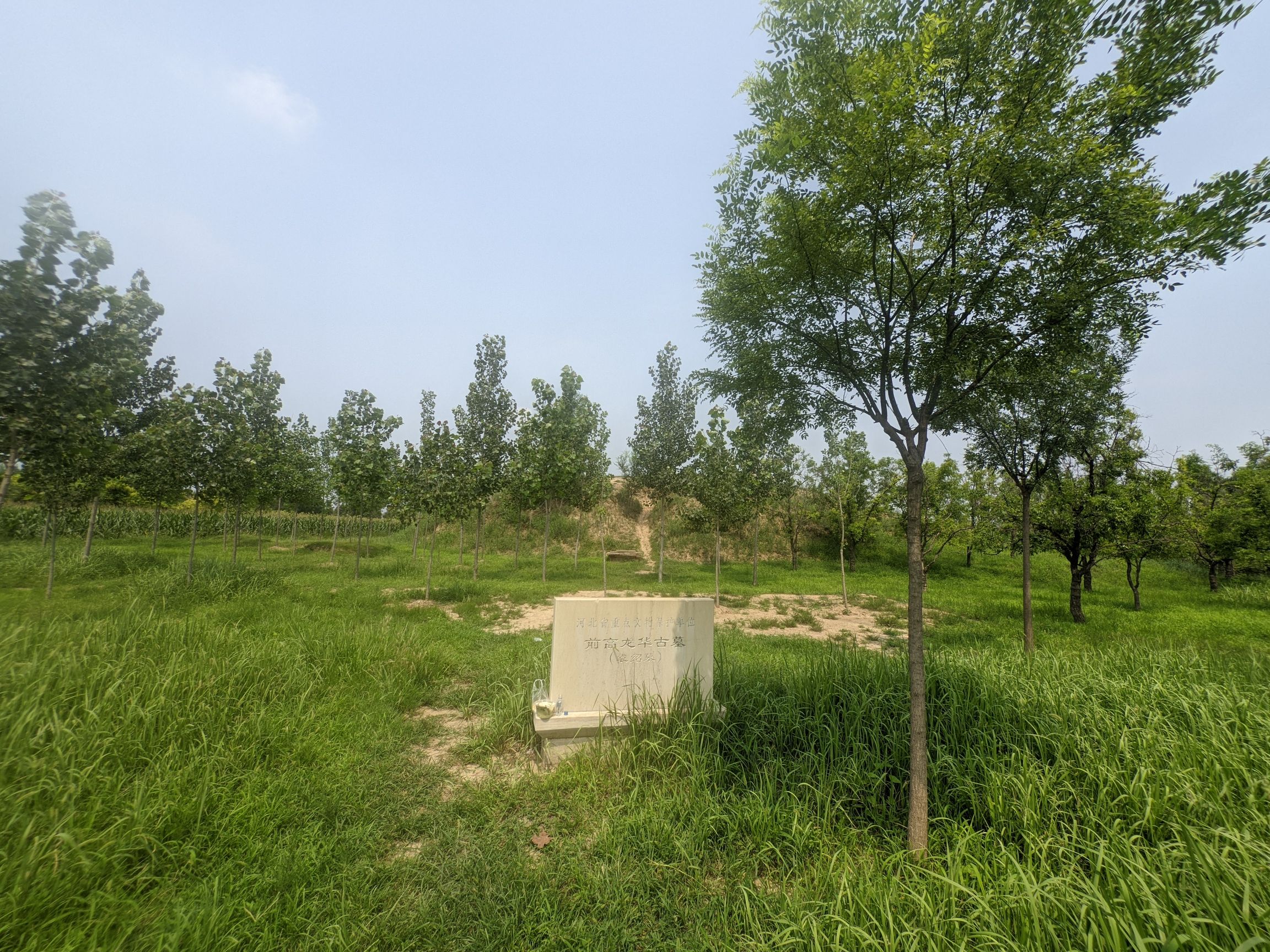 前高龙华古墓(袁绍墓)旅行图片 3