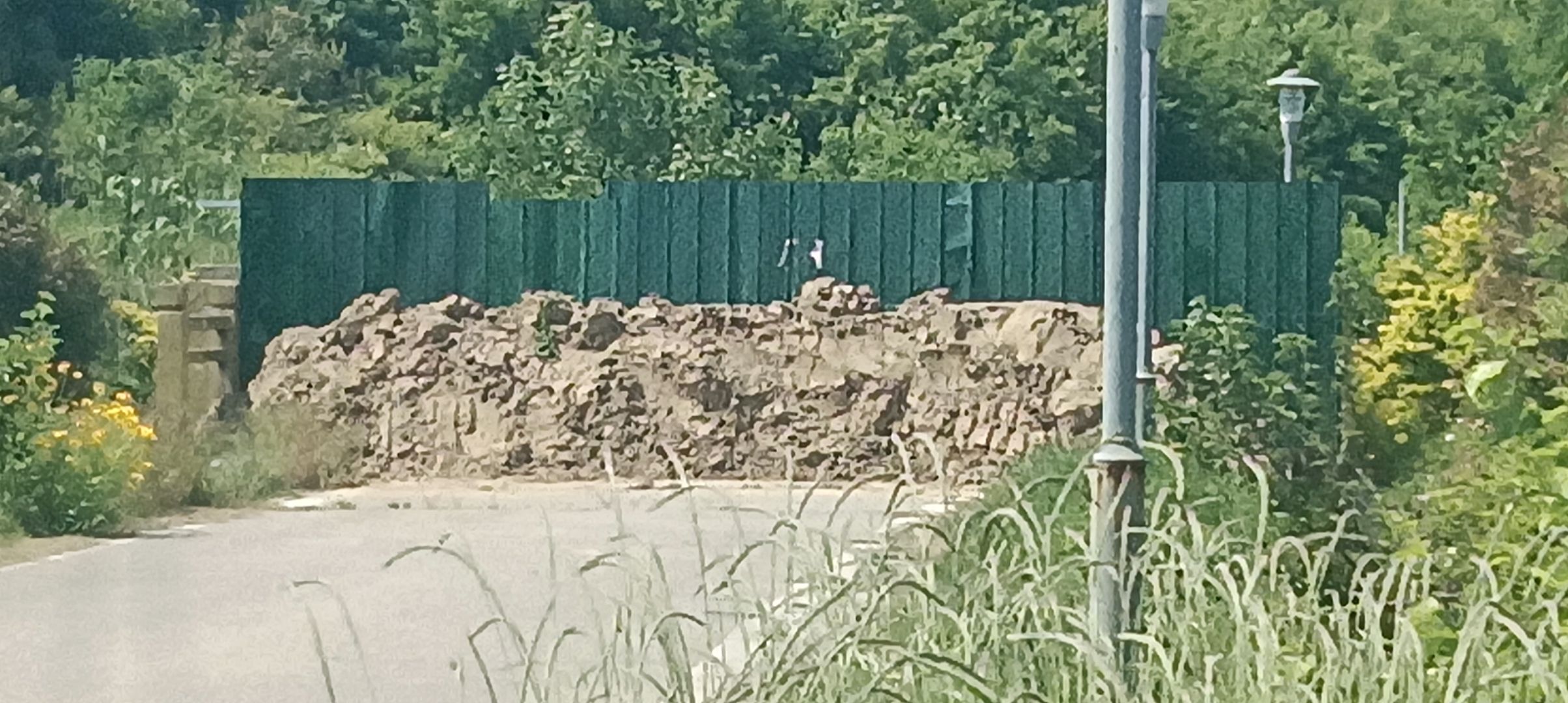 盐龙湖生态公园旅行图片 3