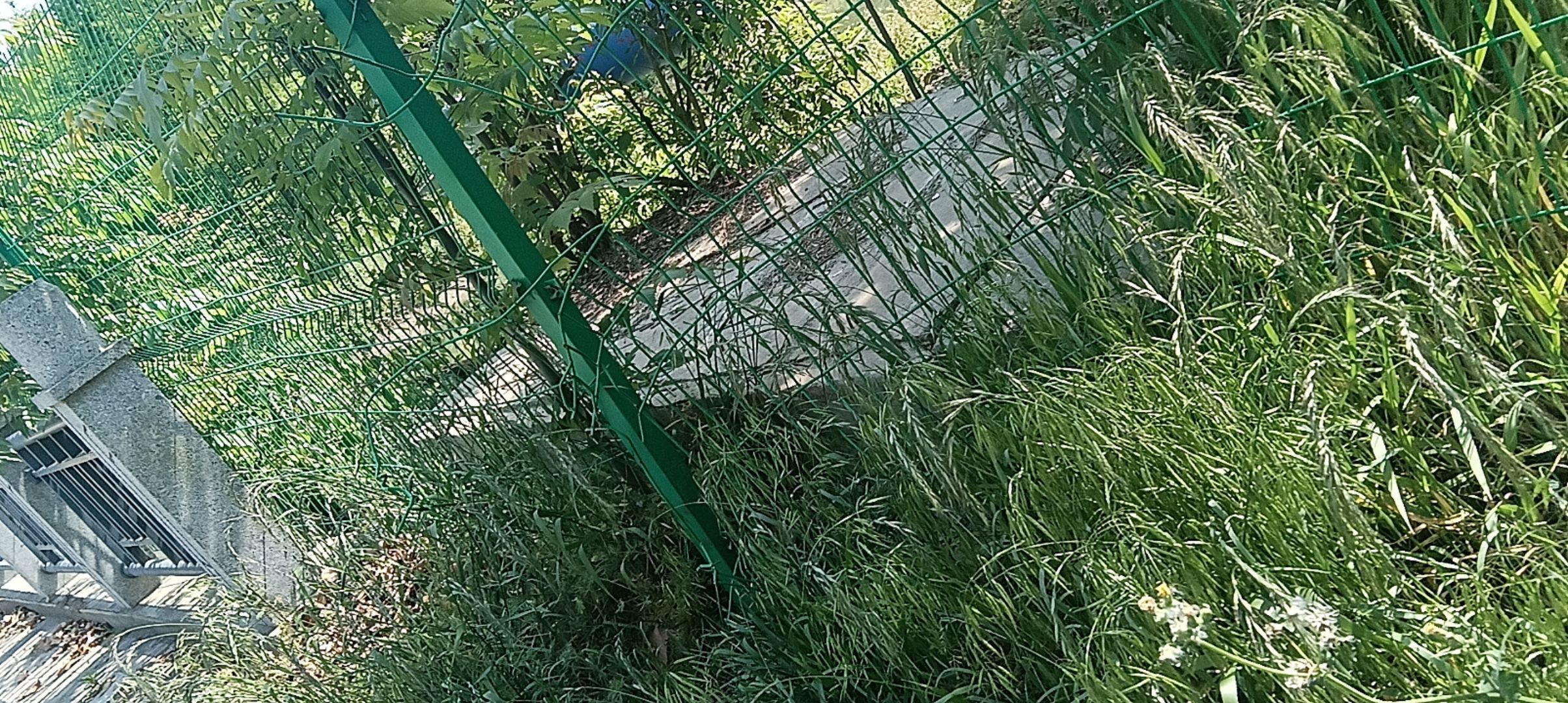 盐龙湖生态公园旅行图片 1