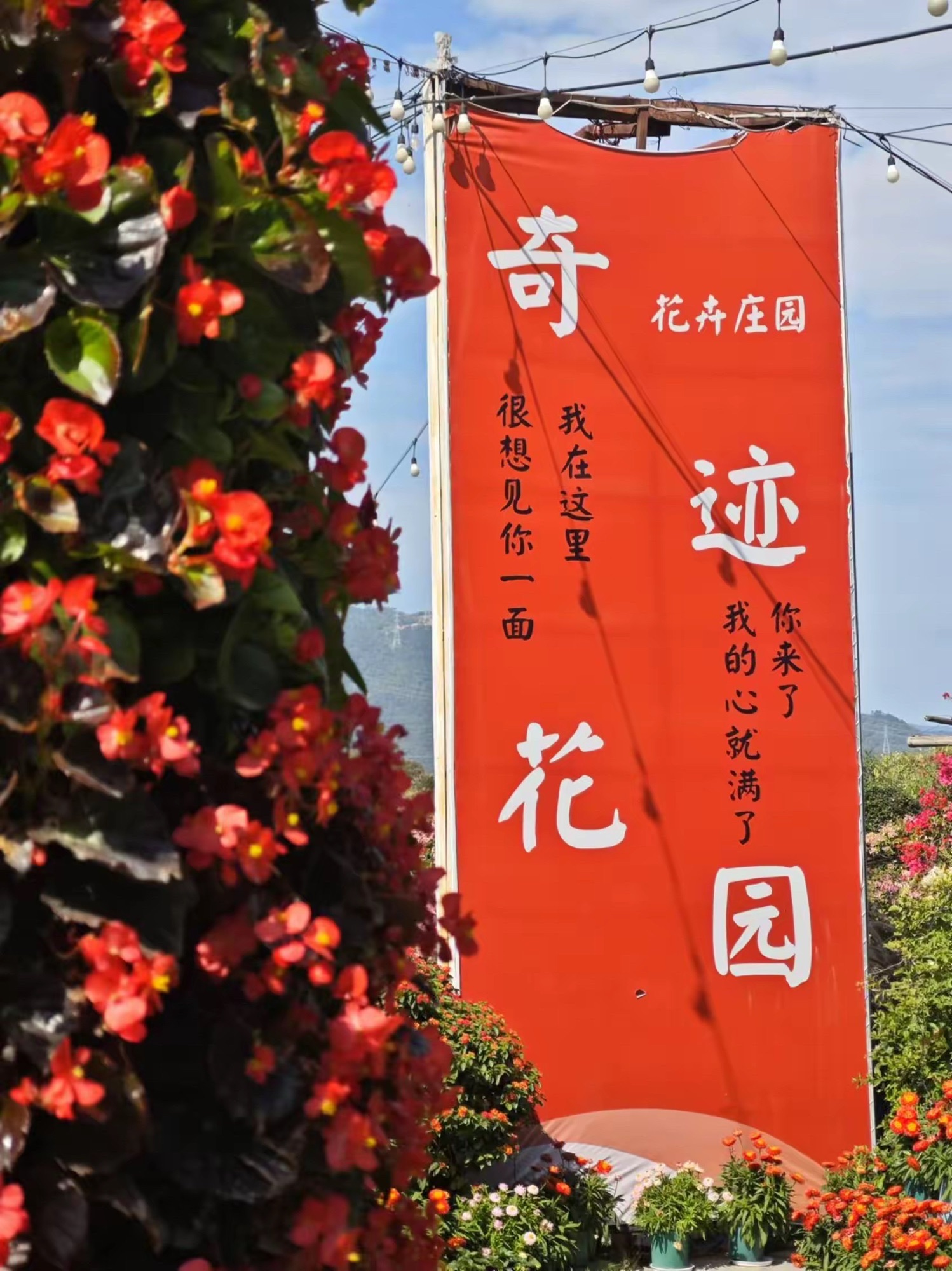花卉庄园·清远本地菜