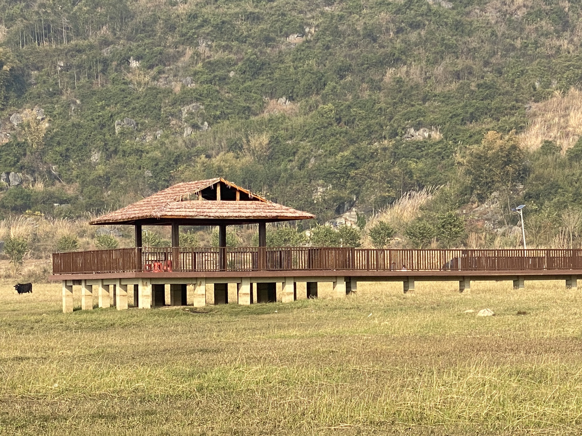 广西兴宾三利湖国家湿地公园旅行图片 2