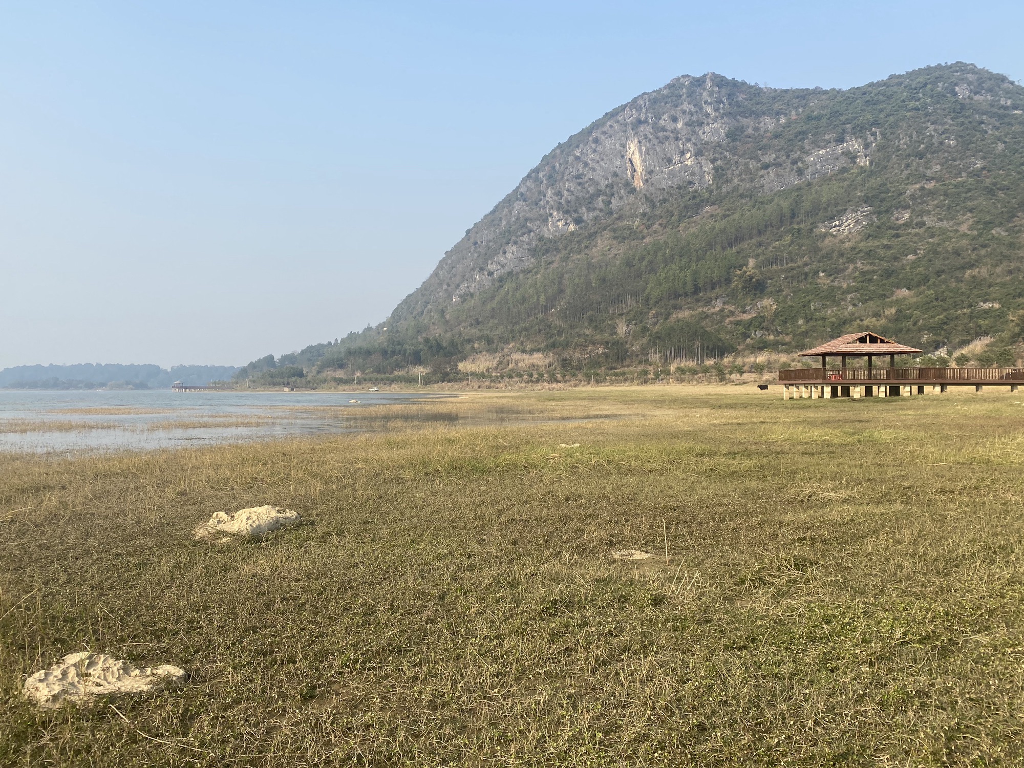 广西兴宾三利湖国家湿地公园旅行图片 3
